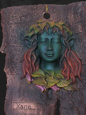 Relieve de Xana en corteza